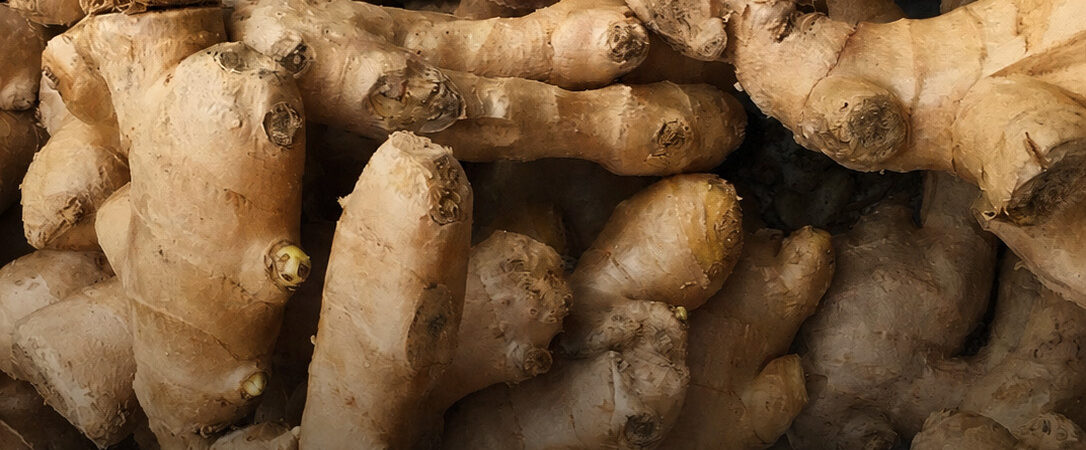 Ghana’s Ginger Industry Is Booming – But Can the Country Turn Demand Into Billions?