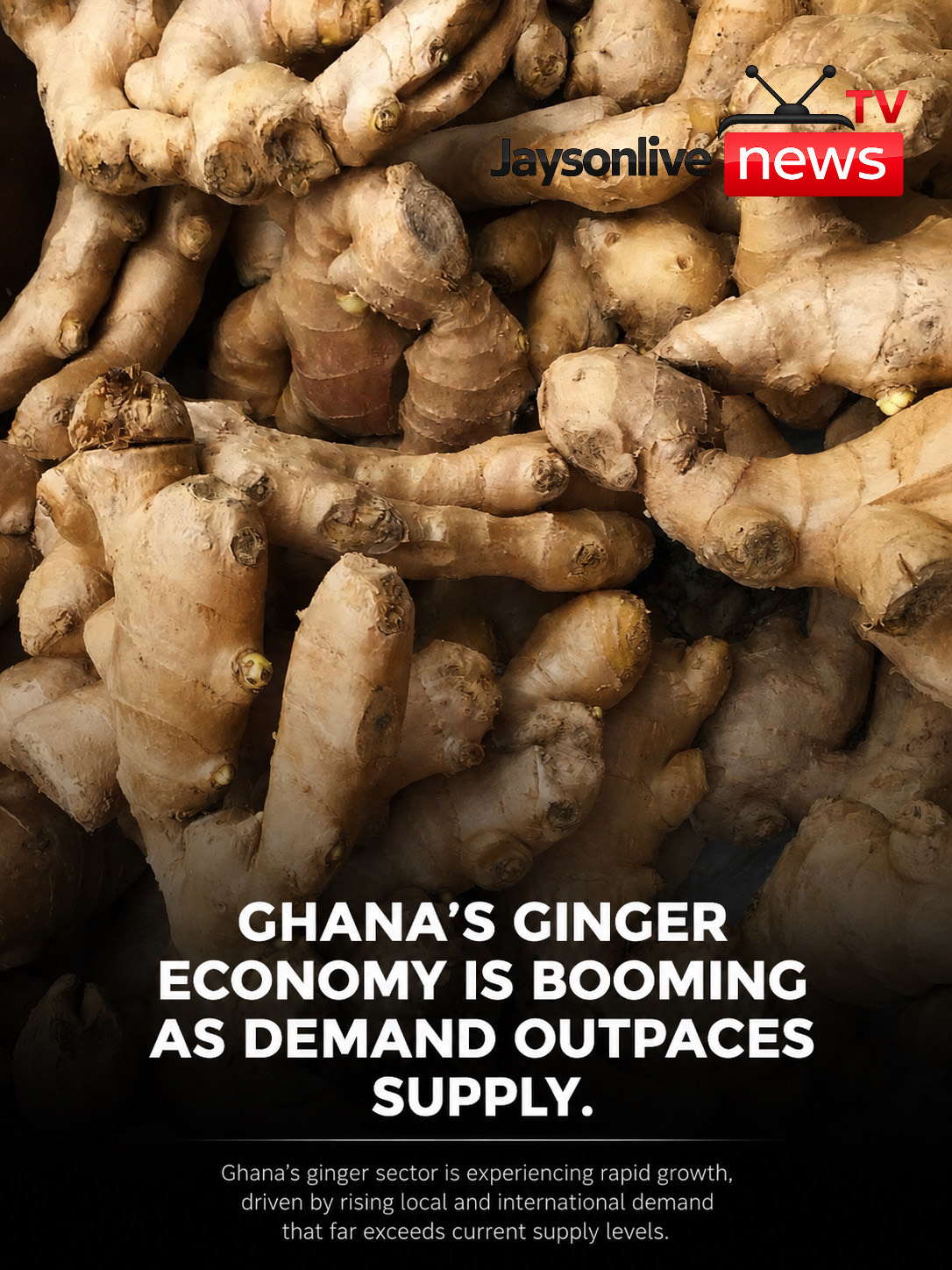 Ghana’s Ginger Industry Is Booming – But Can the Country Turn Demand Into Billions?